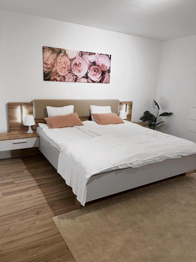 Eine Schoene Wohnung Im Herzen Von Basel. Extérieur photo
